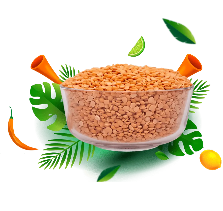 Masoor Chhanti pulses, Masoor medium pulses, masoor malka pulses, Bold Malka pulses, moong dhowa pulses, Masoor Diamond pulses, Masoor Sabut pulses, Masoor Barik pulses, Masoor Chhanti Dal, Masoor medium Dal, masoor malka Dal, Masoor Chhanti Dal in Delhi