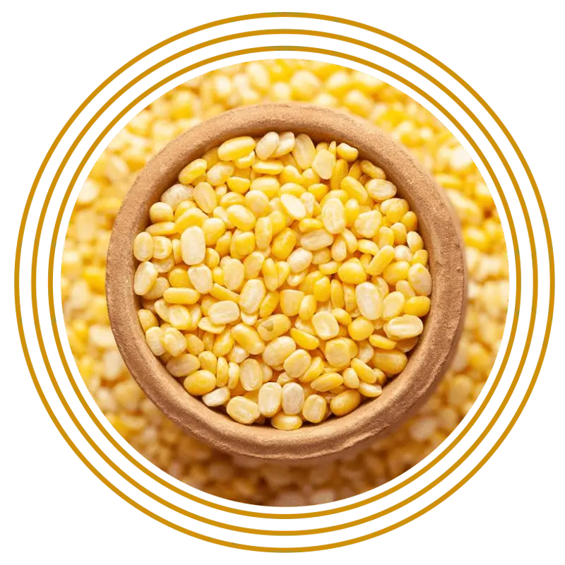 Masoor Chhanti pulses, Masoor medium pulses, masoor malka pulses, Bold Malka pulses, moong dhowa pulses, Masoor Diamond pulses, Masoor Sabut pulses, Masoor Barik pulses, Masoor Chhanti Dal, Masoor medium Dal, masoor malka Dal, Masoor Chhanti Dal in Delhi