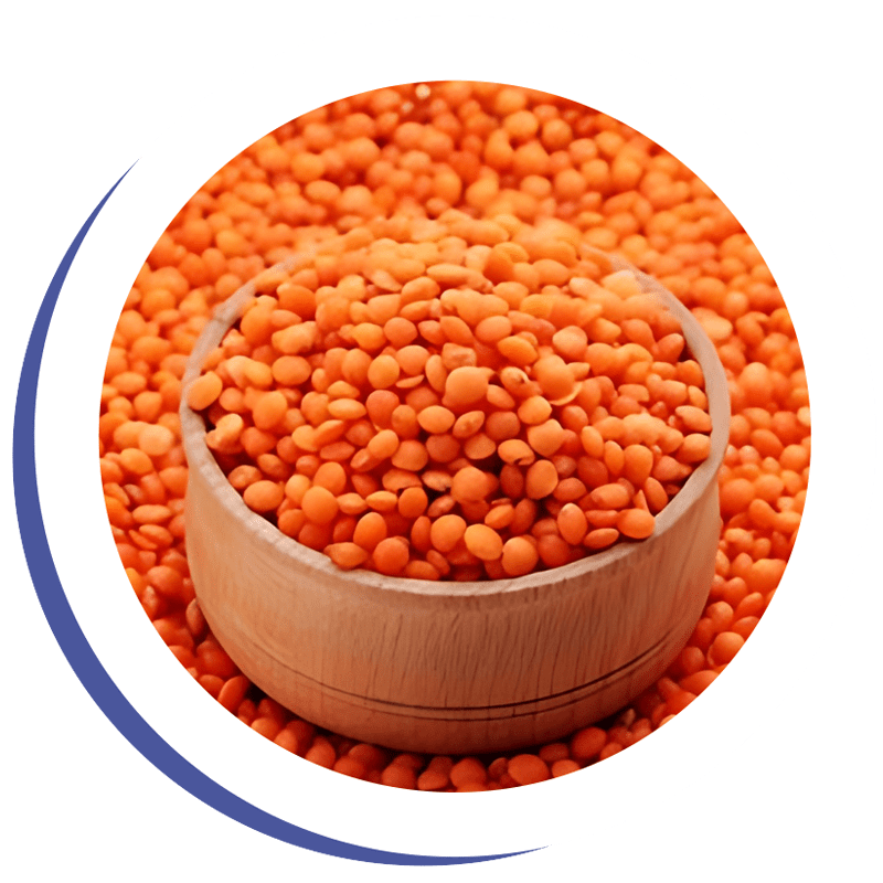 Masoor Chhanti pulses, Masoor medium pulses, masoor malka pulses, Bold Malka pulses, moong dhowa pulses, Masoor Diamond pulses, Masoor Sabut pulses, Masoor Barik pulses, Masoor Chhanti Dal, Masoor medium Dal, masoor malka Dal, Masoor Chhanti Dal in Delhi