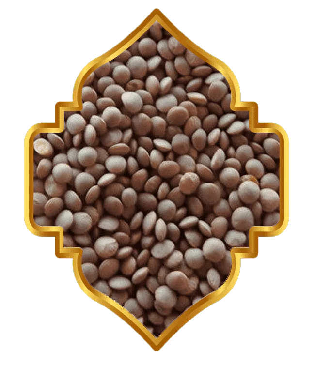 Masoor Chhanti pulses, Masoor medium pulses, masoor malka pulses, Bold Malka pulses, moong dhowa pulses, Masoor Diamond pulses, Masoor Sabut pulses, Masoor Barik pulses, Masoor Chhanti Dal, Masoor medium Dal, masoor malka Dal, Masoor Chhanti Dal in Delhi