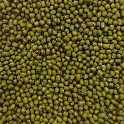 Masoor Chhanti pulses, Masoor medium pulses, masoor malka pulses, Bold Malka pulses, moong dhowa pulses, Masoor Diamond pulses, Masoor Sabut pulses, Masoor Barik pulses, Masoor Chhanti Dal, Masoor medium Dal, masoor malka Dal, Masoor Chhanti Dal in Delhi