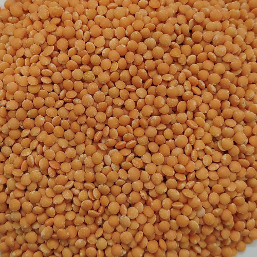 Masoor Chhanti pulses, Masoor medium pulses, masoor malka pulses, Bold Malka pulses, moong dhowa pulses, Masoor Diamond pulses, Masoor Sabut pulses, Masoor Barik pulses, Masoor Chhanti Dal, Masoor medium Dal, masoor malka Dal, Masoor Chhanti Dal in Delhi