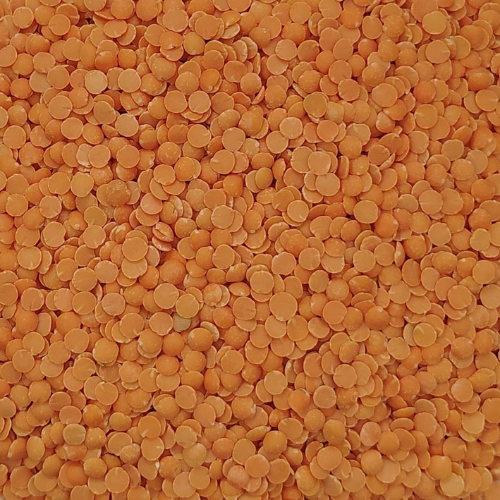 Masoor Chhanti pulses, Masoor medium pulses, masoor malka pulses, Bold Malka pulses, moong dhowa pulses, Masoor Diamond pulses, Masoor Sabut pulses, Masoor Barik pulses, Masoor Chhanti Dal, Masoor medium Dal, masoor malka Dal, Masoor Chhanti Dal in Delhi