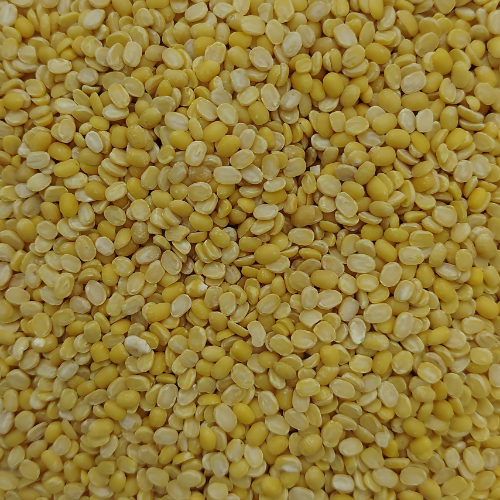 Masoor Chhanti pulses, Masoor medium pulses, masoor malka pulses, Bold Malka pulses, moong dhowa pulses, Masoor Diamond pulses, Masoor Sabut pulses, Masoor Barik pulses, Masoor Chhanti Dal, Masoor medium Dal, masoor malka Dal, Masoor Chhanti Dal in Delhi